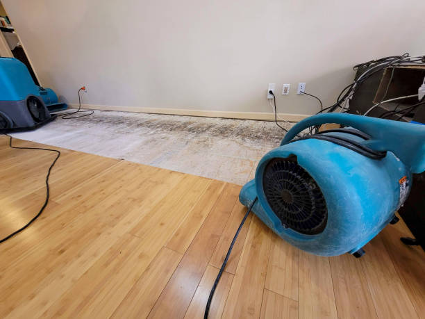 Professional Flood Damage Cleanup technician working in Wanette, OK